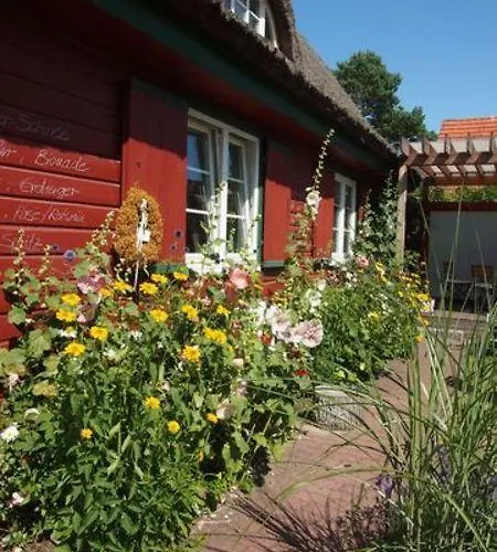 Reetdach - Promenadenblick - 500m Zum 아파트